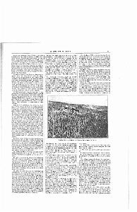LIVRE D OR DE L ORANIE_000006